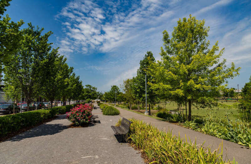 Greenery and benches along a road on the edge of Railroad Park in Birmingham, Alabama.